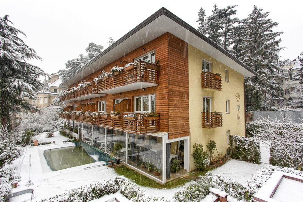 Aster Hotel