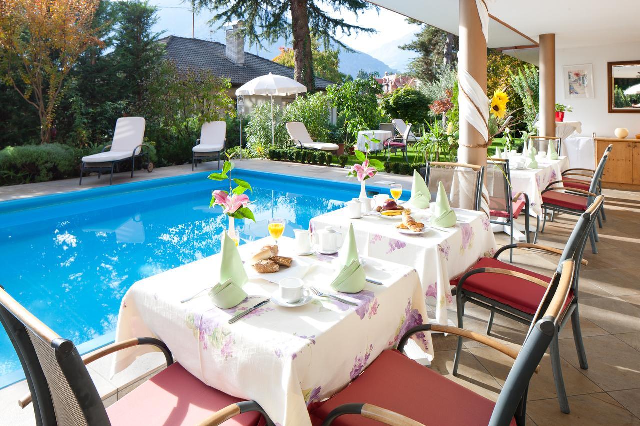 Aster Hotel 3*